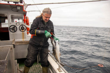 Person med fisk i hånden i arbeid på fiskebåt.